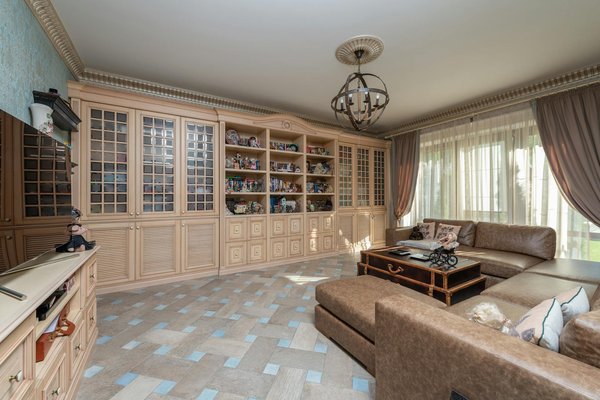 Welche unerwarteten Verhaltensweisen zeigen Hunde im Alltag?